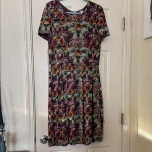 LuLaRoe Multicolor Floral Amelia Dress